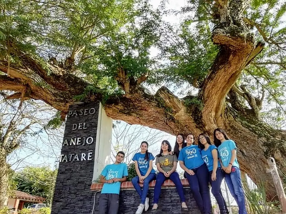 El Tatare Árbol: Un Viaje al Corazón del Bosque Guaraní - Qué significa tatare en guaraní tatare arbol - Qué significa tatare en guaraní