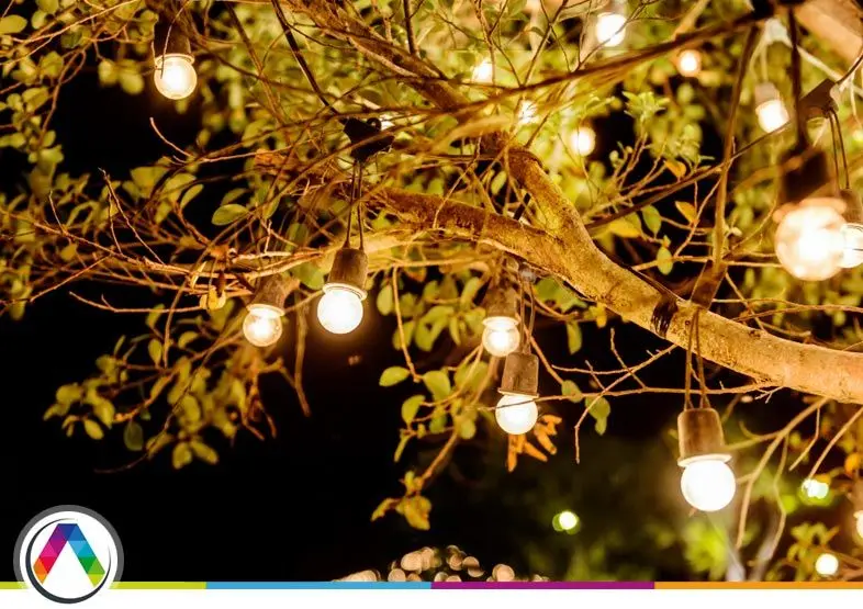 Iluminación de Árboles de Jardín: Guía Completa para una Experiencia Mágica - Qué tipo de luz se usa en un jardín iluminacion de arboles de jardin - Qué tipo de luz se usa en un jardín