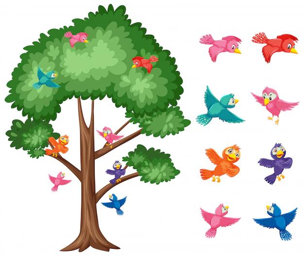 La estrecha relación entre árboles y aves: un vínculo vital para la naturaleza - Qué tipo de relación se establece entre las aves y los árboles arboles y pajaritos - Qué tipo de relación se establece entre las aves y los árboles