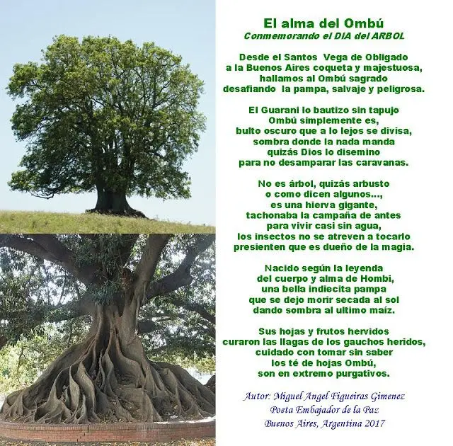Cómo Plantar un Árbol: Un Poema de Esperanza y Crecimiento - Qué tipo de texto es cómo plantar un árbol poema planta un arbol - Qué tipo de texto es cómo plantar un árbol