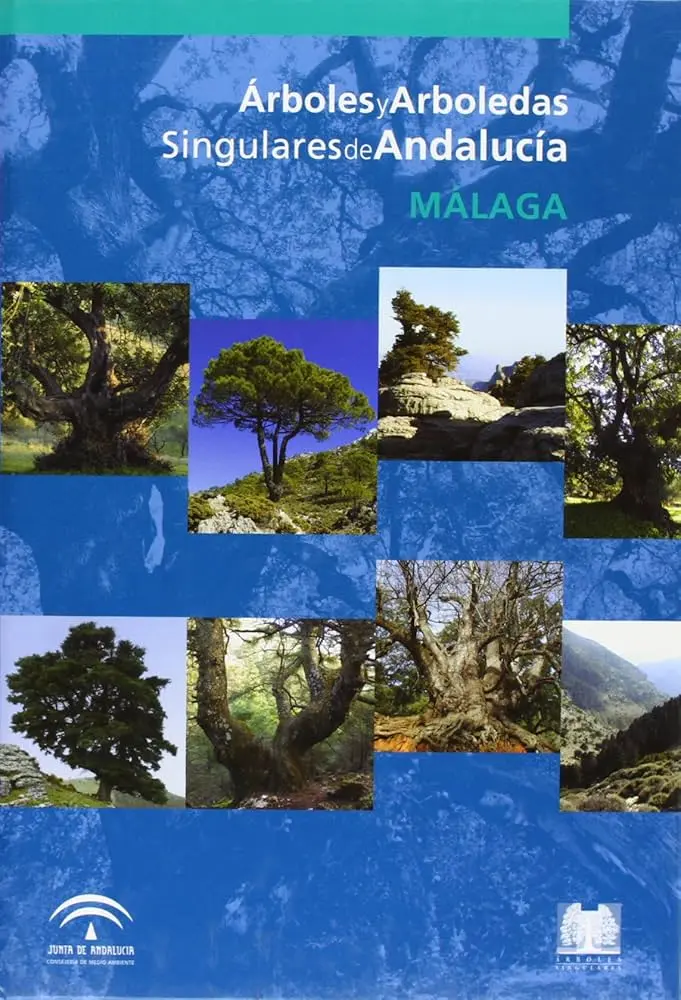 arboles de andalucia - Qué tipo de vegetación hay en Andalucía