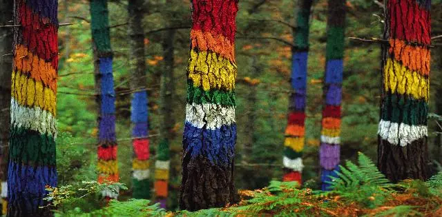 <b>El Camino Arbolado Vasco:</b> Un Recorrido por la Magia del Bosque de Oma - Quién pintó el bosque encantado camino arbolado vasco - Quién pintó el bosque encantado